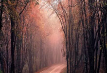 K1体育：欧冠4场坐穿板凳！皇马20岁小将惹怒队友：安帅.