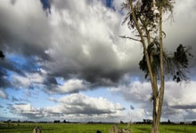 [英超]席尔瓦突破造良机 福登劲射再下一城.