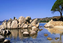 K1体育：[图]德甲-拜尔传射吉拉西建功 多特蒙德2-1逆转莱比锡.